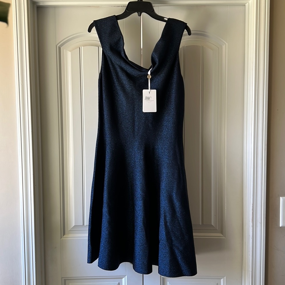 Ted Baker London dress